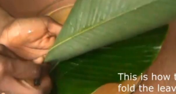 Step 5.1: Begin folding the Uma leaves and scoop the plantain moi moi mixture into each leaf wrap, one by one
