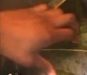 Step 6.2: Check occasionally and add more water if necessary to prevent burning