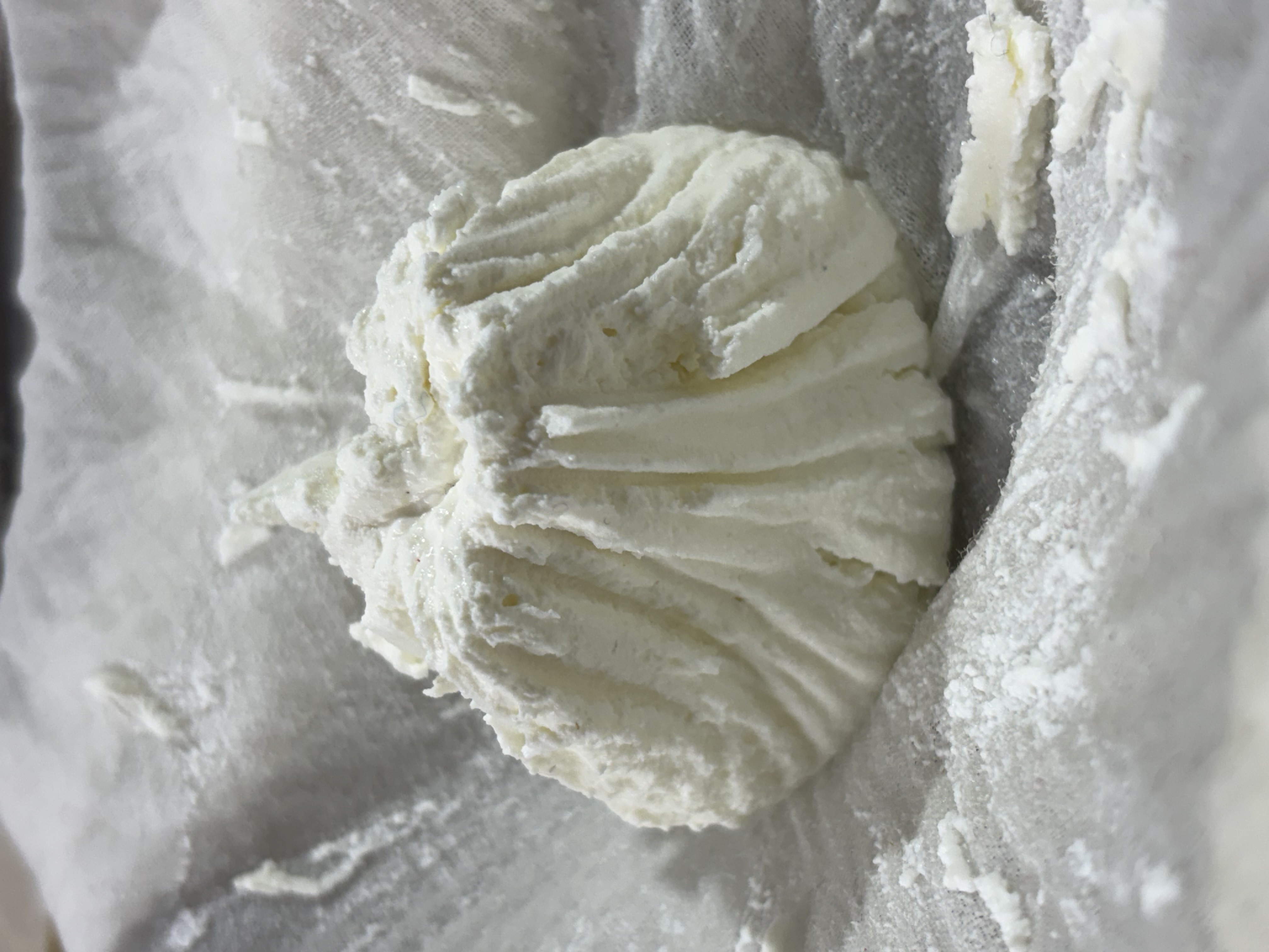Step 1.1: Place the curd in a muslin cloth or a clean kitchen towel