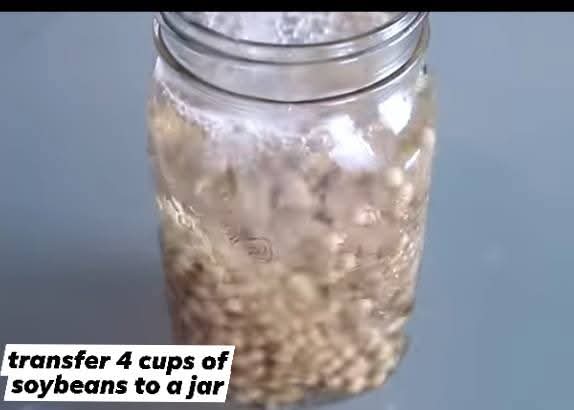 Step 1.1: Transfer 4 cups of soya beans to a jar and soak for 24 hours