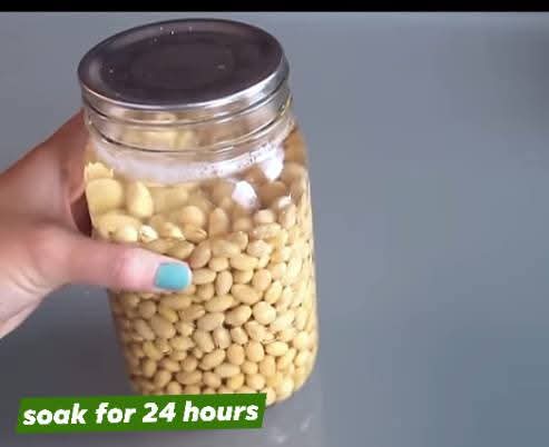 Step 1.2: Transfer 4 cups of soya beans to a jar and soak for 24 hours