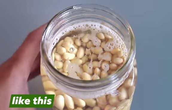 Step 1.1: Transfer the soaked beans to a bowl and squeeze them to loosen the peels