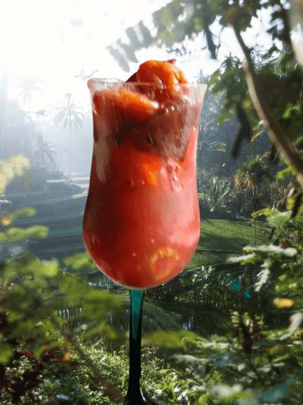 Step 1.1: Serve chilled and enjoy it as a refreshing drink or spoon it up like dessert