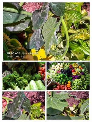 Step 1.1: Place the vegetables on a clean surface and remove small particles and insects