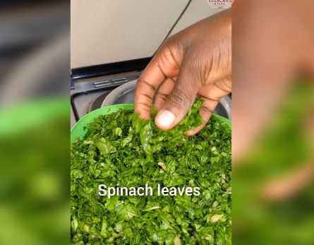 Step 2.7: In a large pot over medium heat, bring water to boil and add in soda ash, jute mallow and later in add spinach leaves cook until they begin to wilt