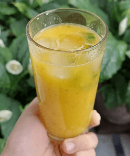 Summer Fruit Juices recipe