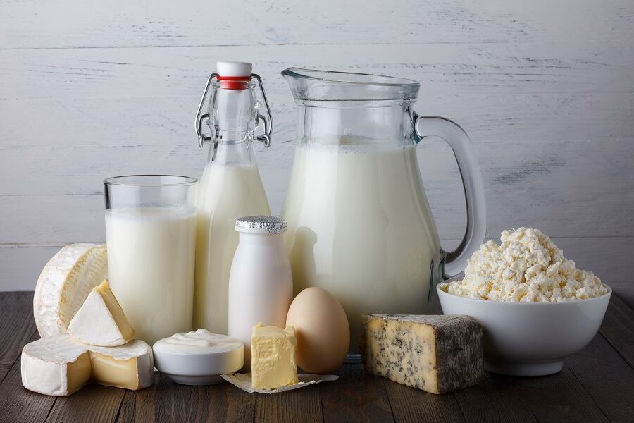 Milk and milk products displayed neatly on a counter top