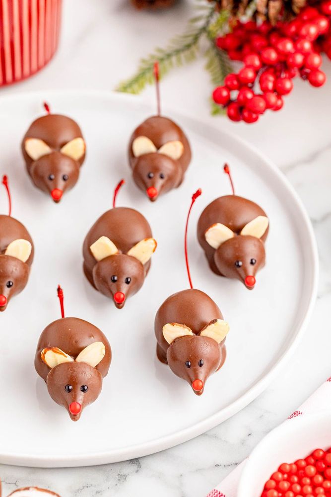 Chocolate Cherry Mice | Chefadora