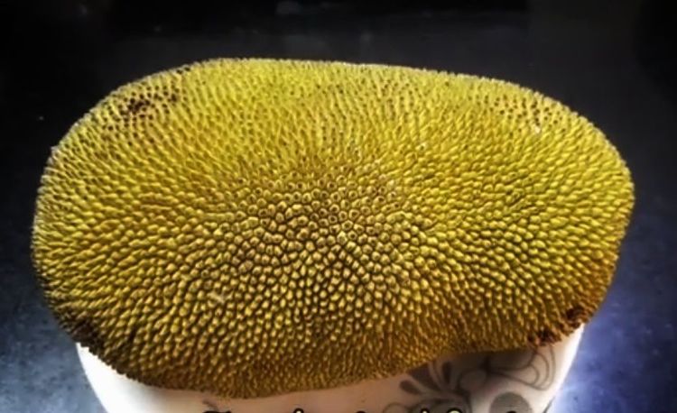 Step 1.1: Take tender jackfruit
