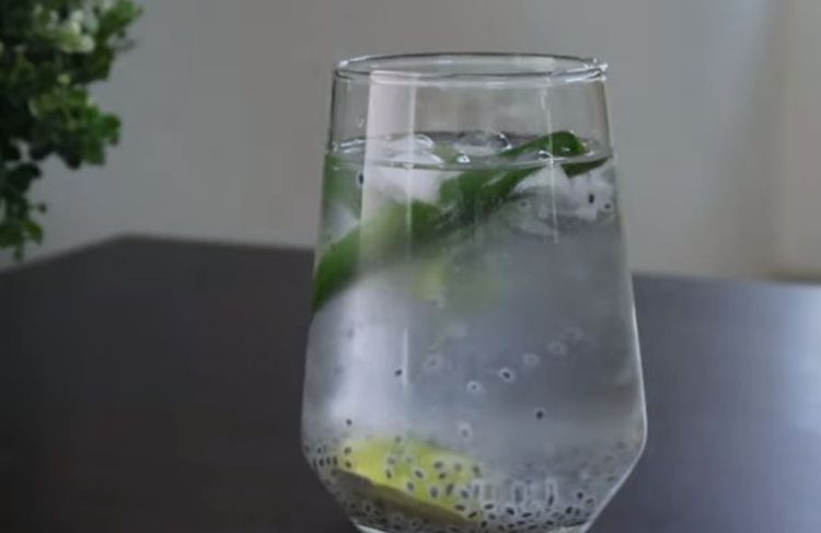 Step 1.1: Squeeze half of the lemon, 1 cup chilled water and add a small piece of lemon to the glass along with some ice cubes