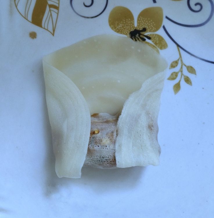 Step 3.3: Place some filling on one side and roll it up