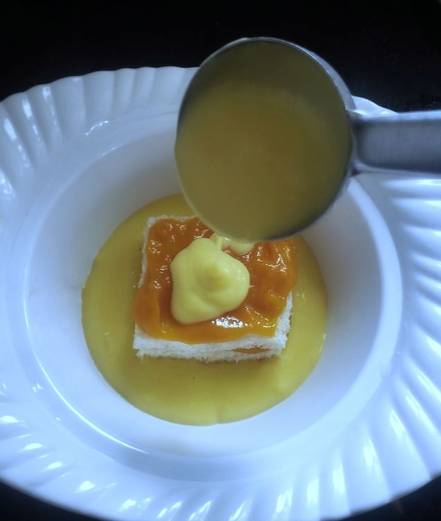 Step 1.1: Pour the custard milk all over it