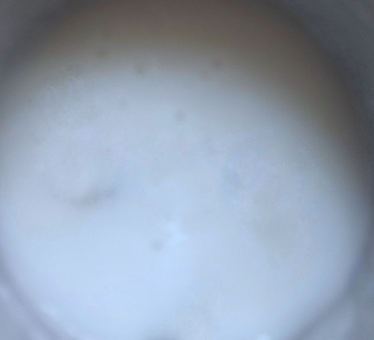 Step 1.2: Add steamed rice and water to a blender and blend until smooth