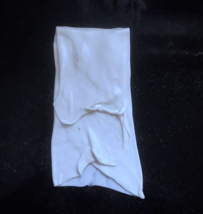 Step 1.1: Fold from the top portion towards the middle