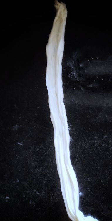 Step 2.2: Fold into a roll, then gently stretch it and shape into a coil, and gently flatten again into a paratha shape