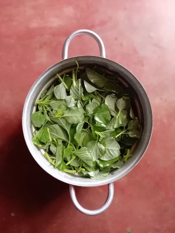 Step 1.1: Rinse the leaves well under running water