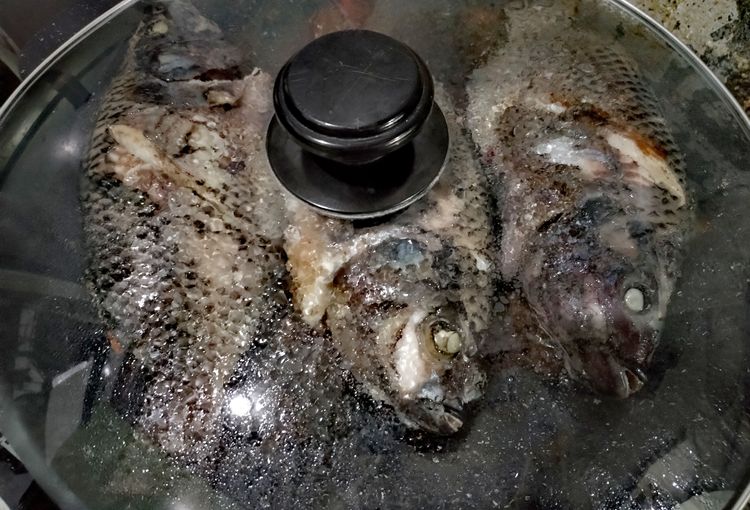Step 1.1: Brush or spray cooking oil on the grill plate
