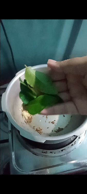 Step 2.1: Stir in the curry leaves and green chillies, cooking for another minute