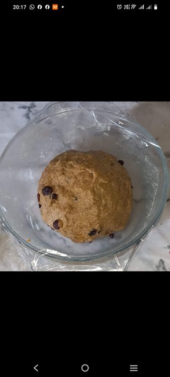 Step 1.1: Place the dough in a greased bowl, cover, and let it rise in a warm place until doubled in size
