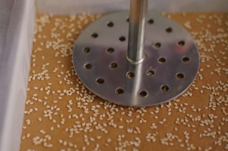 Step 5.2: Sprinkle toasted sesame on top and press lightly