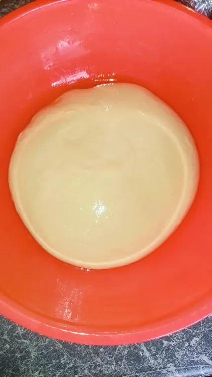 Step 1.1: Grease a medium-sized bowl and your hand, and form a ball with the dough as best as you can