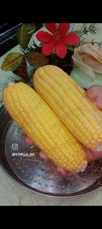Step 1.2: Take fresh sweet corn , remove the peels, corn silk and wash well in running water