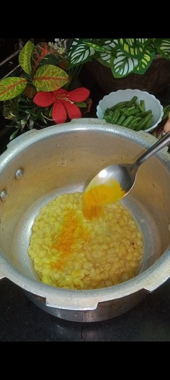 Step 1.2: In a cooker , add boiled toor dal , turmeric powder and water