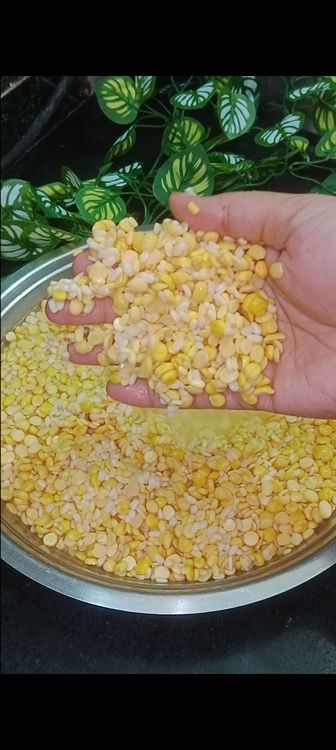 Step 1.5: Rinse and soak the chana dal, toor dal, moong dal, and urad dal together in water for 4-5 hours