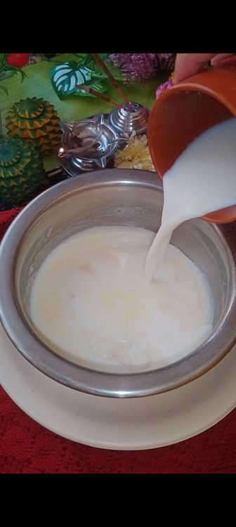Step 1.1: Lastly add 16 spoons of raw milk and mix altogether