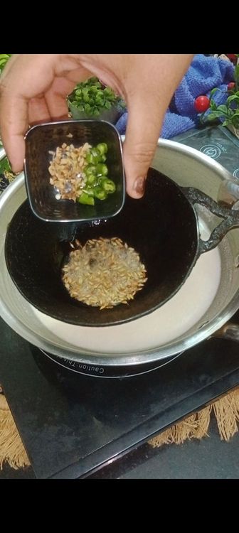 Step 2.1: In a tadka pan , heat 1/2tbsp peanut oil or ghee, next add cumin seeds, green chillies and chopped ginger
