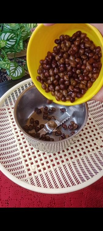 Step 1.1: In a mixie jar, add boiled kala chana, green Cardamom, cumin seeds, dry mango powder, green chillies, ginger and pinch of salt