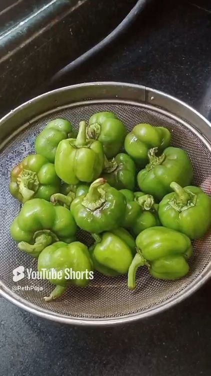 Step 1.1: Wash green capsicum really well and then cut the cap as shown below, deseed the capsicums and wash again to remove seeds completely