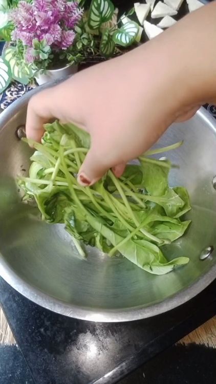 Step 1.2: Wash palak well , and keep aside