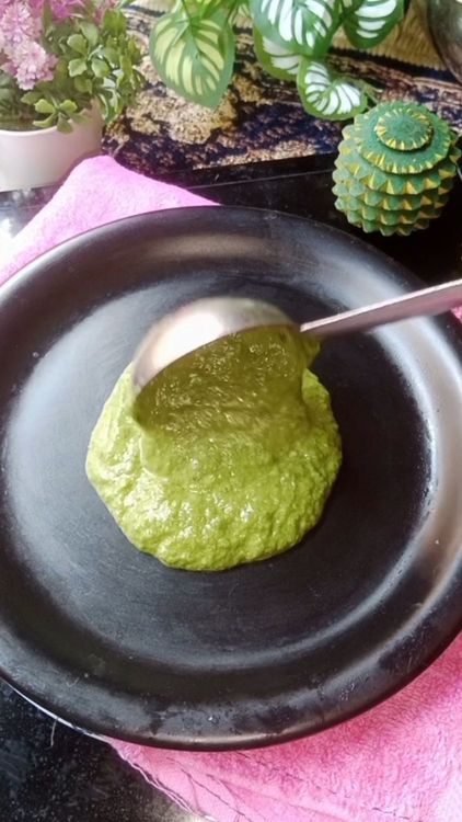 Step 5.1: In a plate , spread the prepared palak paste, place the tossed paneer cubes , garnish some coriander leaves, drizzle some white paste and red chilli oil