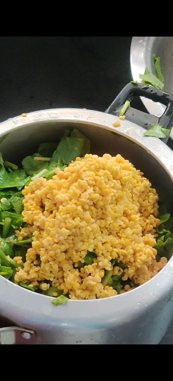 Step 1.1: In a pressure cooker, add the spinach, soaked dals, ginger, garlic, green chilli, salt, and water