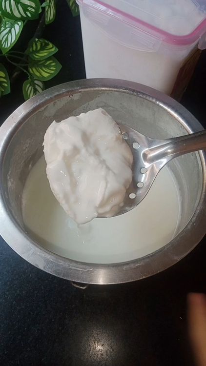 Step 1.2: Boil full-fat milk and let it cool