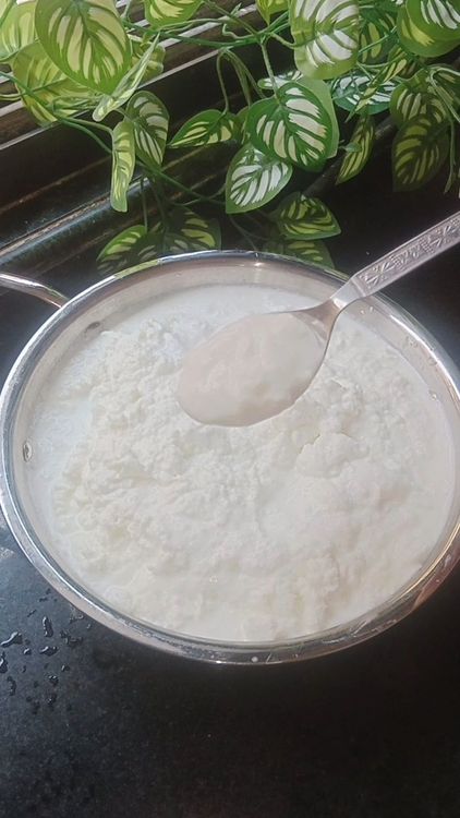Step 2.2: Take the collected cream in a mixing bowl or blender