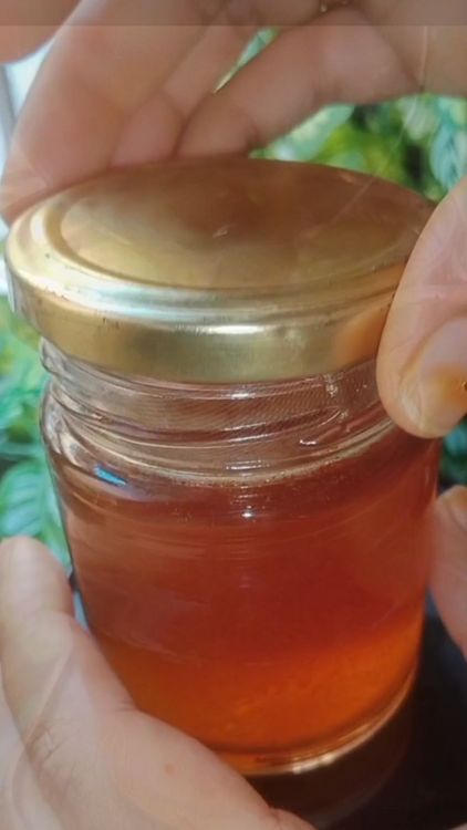 Step 1.1: The liquid turns from light brown to yellowish cream in colour as it solidifies