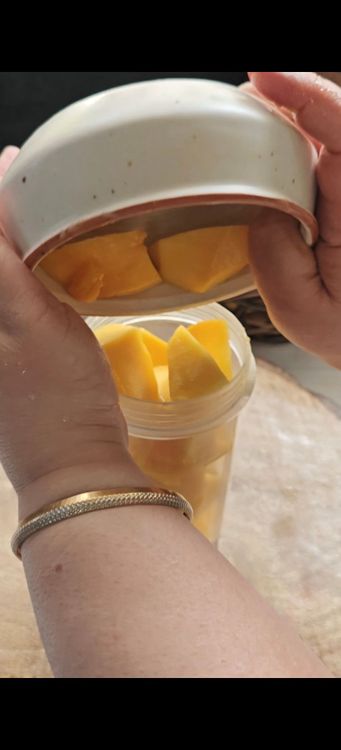 Step 1.2: Puree the mango, milk powder, and 2 tbsp milk in a blender until smooth