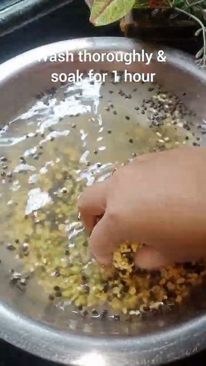 Step 1.3: Mix toor dal, black urad dal, green moong dal, moong dal, and chana dal in a large vessel