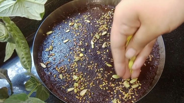 Step 1.1: Pour the mixture onto a greased plate and spread it evenly