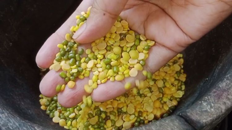 Step 1.1: Mix moong dal, tuvar dal, and green moong in a bowl