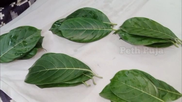 Step 2.1: Wash jackfruit leaves and wipe them dry