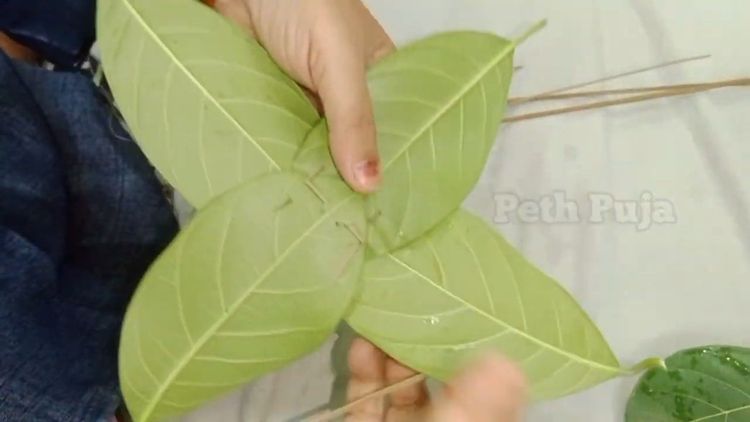 Step 2.1: Take 4 leaves, place them one over the other like a star as shown below in the photo, Fold into small cups (khotte) and stitch with thin bamboo sticks or toothpicks