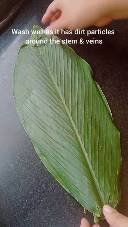 Step 3.1: Wash and clean turmeric leaves