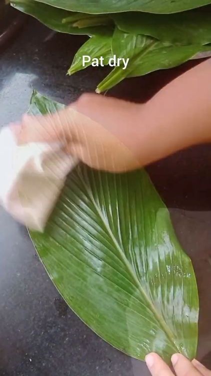 Step 3.2: Wash and clean turmeric leaves