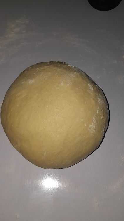 Step 3.1: Place the dough in a greased bowl, cover it with plastic wrap or a damp cloth