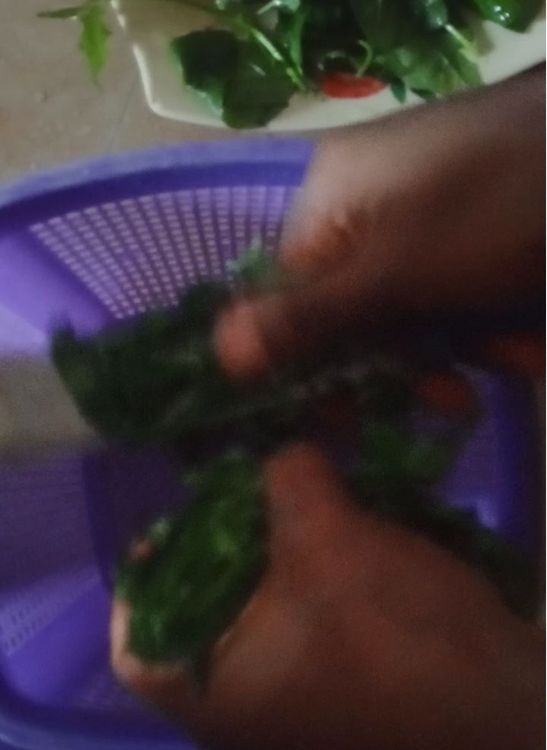 Step 6.1: Wash your garden egg leaves (akwukwo anara) thoroughly, slice them, and set aside