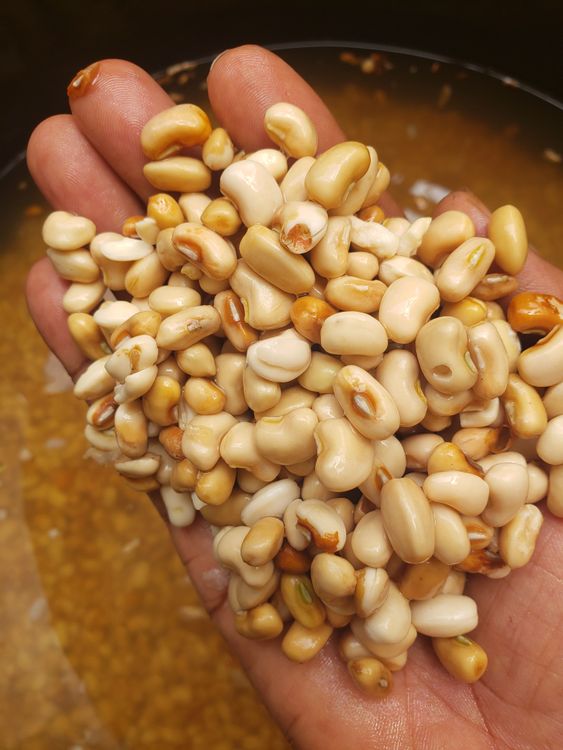Step 1.1: First off you soak your beans for 30 minutes-1 hour