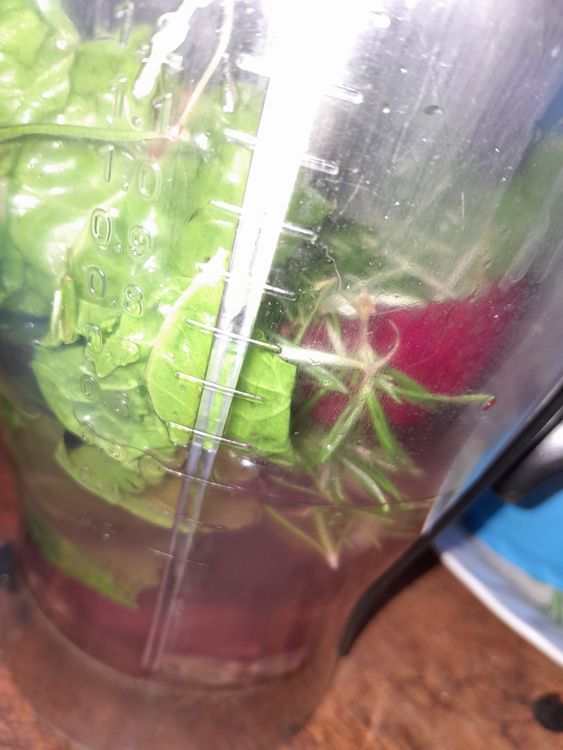Step 1.1: In a blender, combine the spinach, beetroot, rosemary, ginger, passion fruit pulp, and water